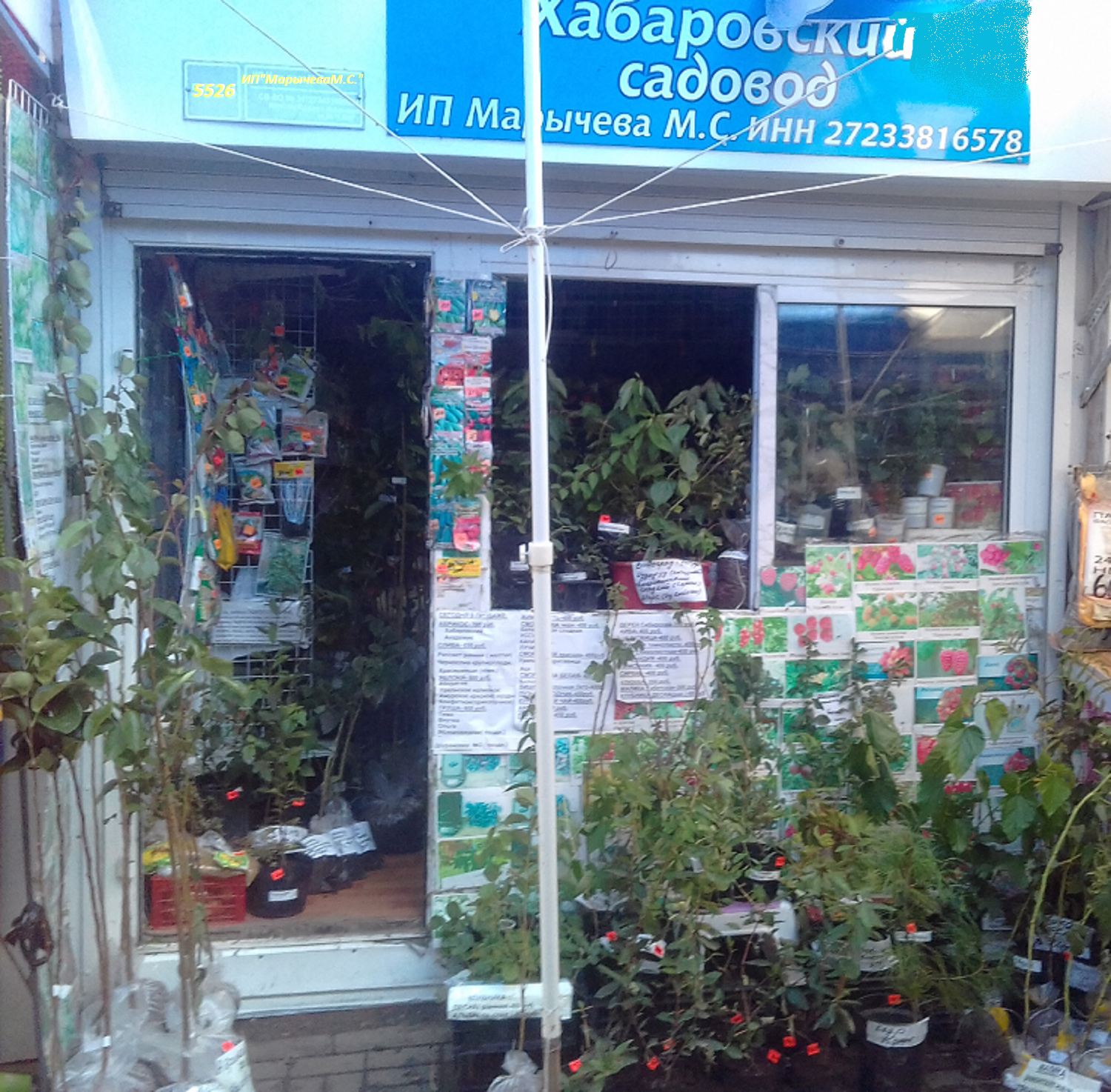 Магазин Саженцев Хабаровск
